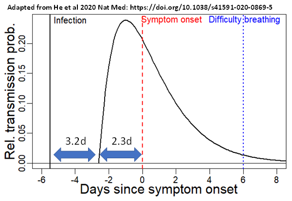 Here's a visual of this I made showing likely timing of transmission relative to infection & symptom onset. A challenge is that this data is often collected when people are being quarantined after symptom onset so decay in observed transmission might not match infectiousness.