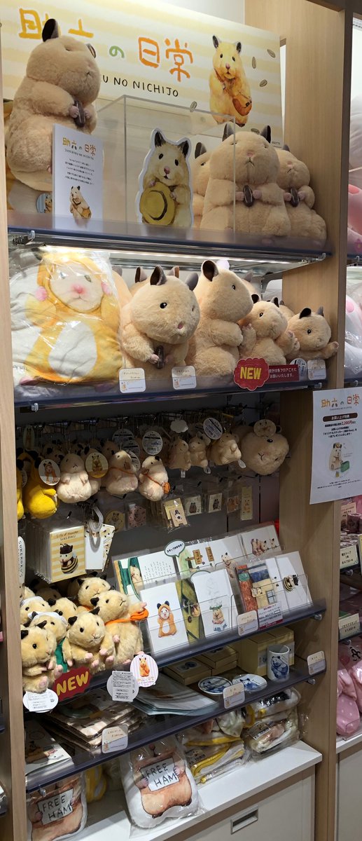 キデイランド京都四条河原町店 公式 キャラクターコーナー1f 助六の日常 のコーナーより 可愛いぬいぐるみたちが入荷しております ぬいぐるみ以外にも助六の雑貨も取り揃えております お近くにいらした際にはぜひ 見て来て下さいね 助 キデイランド京都四条河原町店 公式 キャラクターコーナー1f 助六の日常 のコーナーより 可愛いぬいぐるみたちが入荷しております ぬいぐるみ以外にも助六の雑貨も取り揃えております お近くにいらした際にはぜひ 見て来て下さいね 助