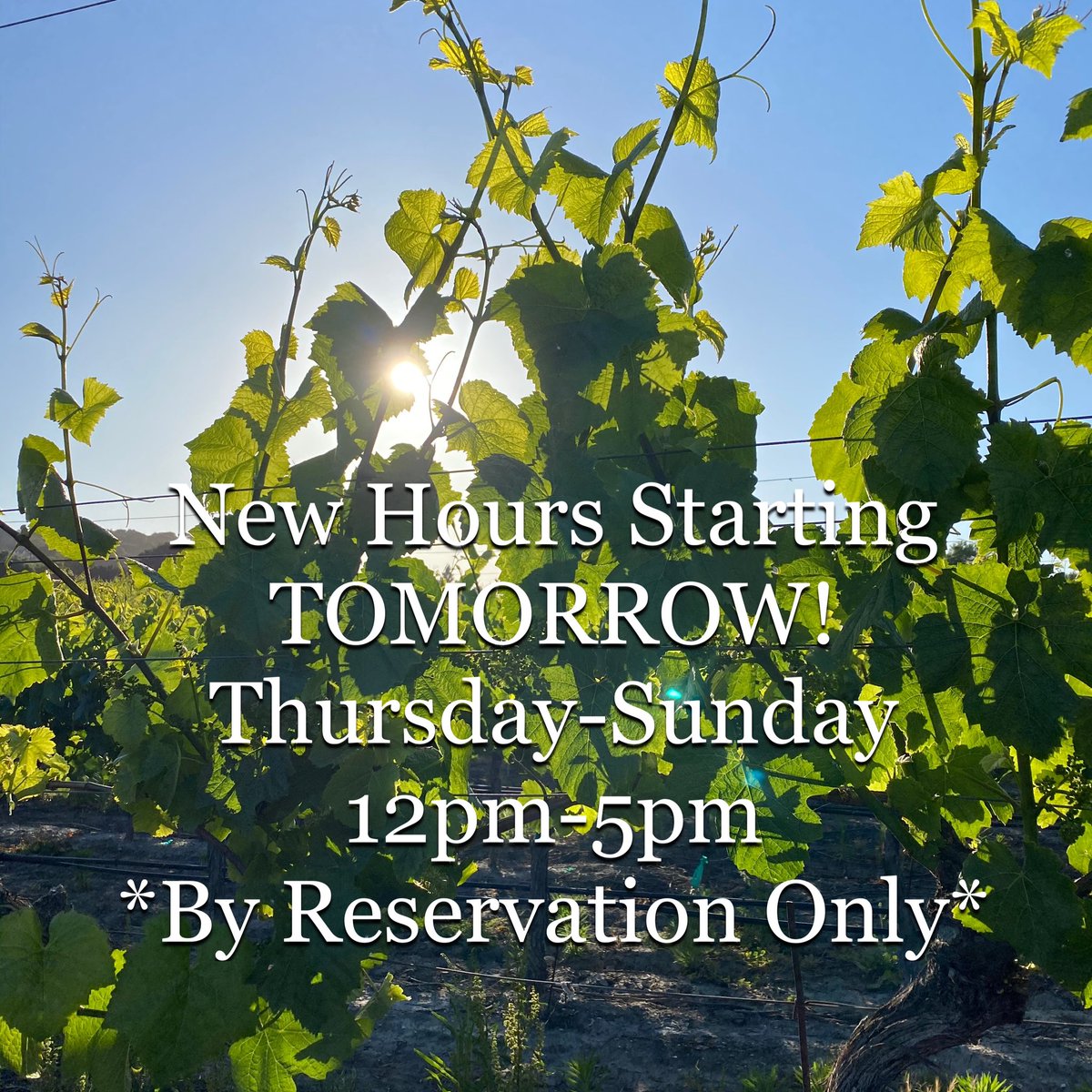 We’re now open by reservation only Thursday - Sunday 12p-5p! Reserve your spot on our website!