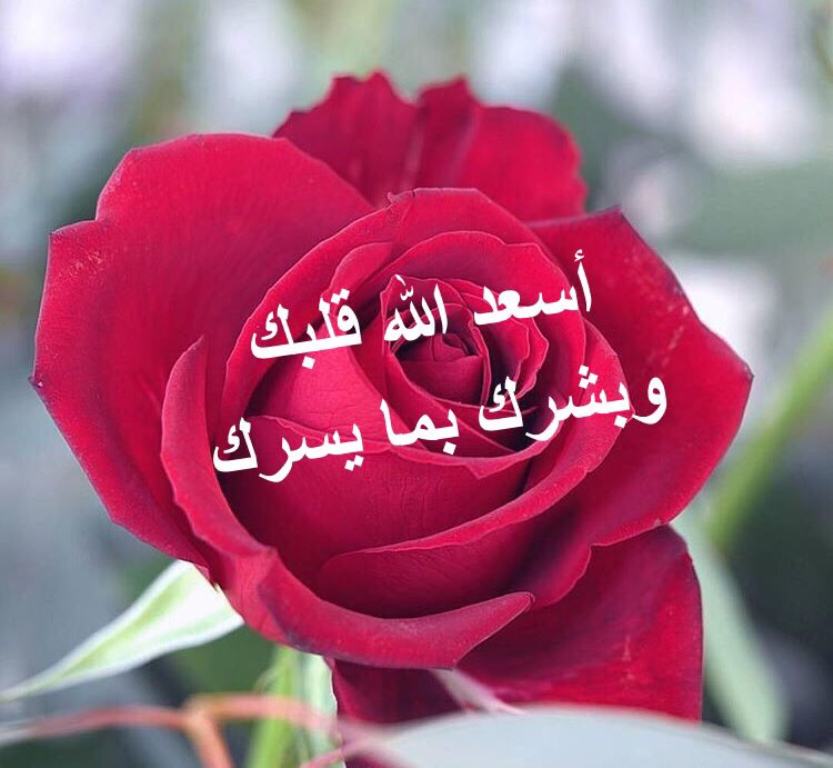 حوته حياة كتبي On Twitter وتسلمي حبيبتي وعزيزتي الغالية ربي يحفظك ويحميك ويكن معك صباحك يعزف سعادة وسلام ويسطر ودا ومحبة وجمالا ويبشرك ببشائر الخير والسعادة وراحة البال ويباركك ويرفع قدرك ويعلي شأنك
