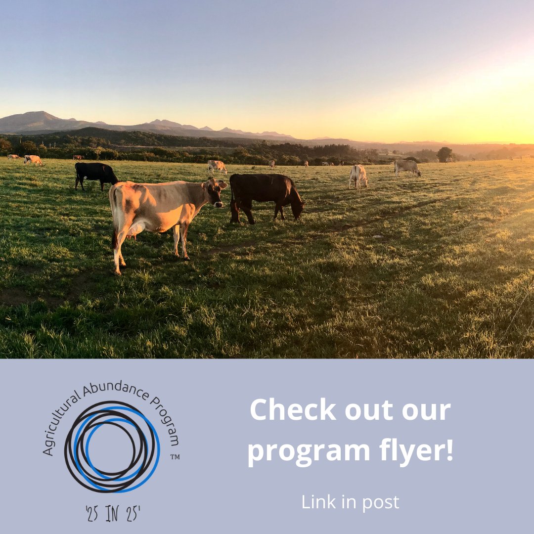 EOI's for the Agricultural Abundance Program now open! If you are an Australian farmer with soil challenges, click to find out more about how our program can help: tinyurl.com/ybhae94v
#soil #soilhealth #dairyfarming #Australianfarmers #agronomy #farminggrants #farming