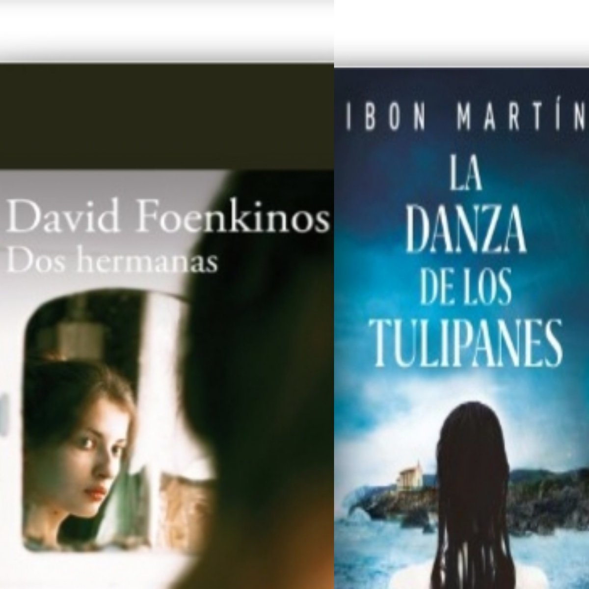 carmenensutinta's tweet photo. Añadiendo nuevas #lecturas en mi lector: #Ladanzadelostulipanes de Ibon Martín https://t.co/UkcRypHHy0 y #Doshermanas de David Foenkinos https://t.co/vvkRMVDF9D
#lecturas2020 #lecturasfindesemana 
#FelizViernes https://t.co/O1o94RwMzb
