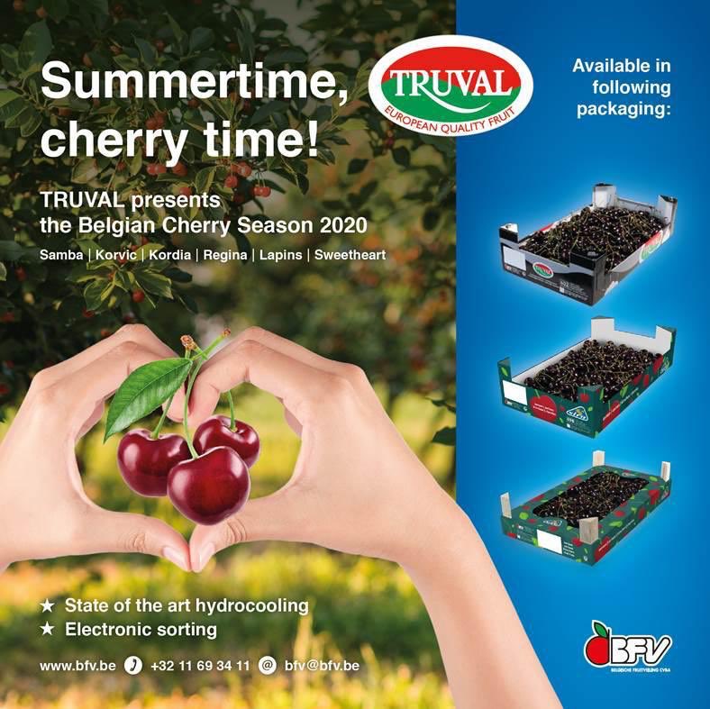 marc evrard tweet media