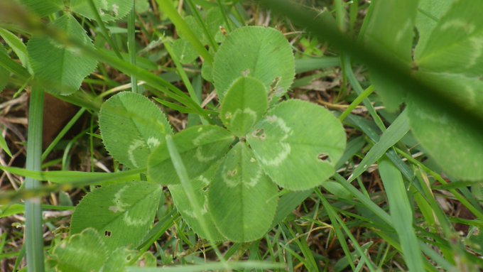 群馬県立北毛青少年自然の家