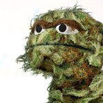 Image for the Tweet beginning: Oscar the grouch become a