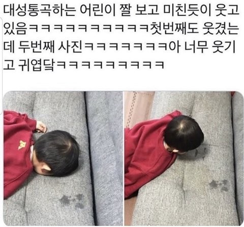 ìž¡ì§¤ëª¨ìŒ Sur Twitter ëŒ€ì„±í†µê³¡í•˜ëŠ