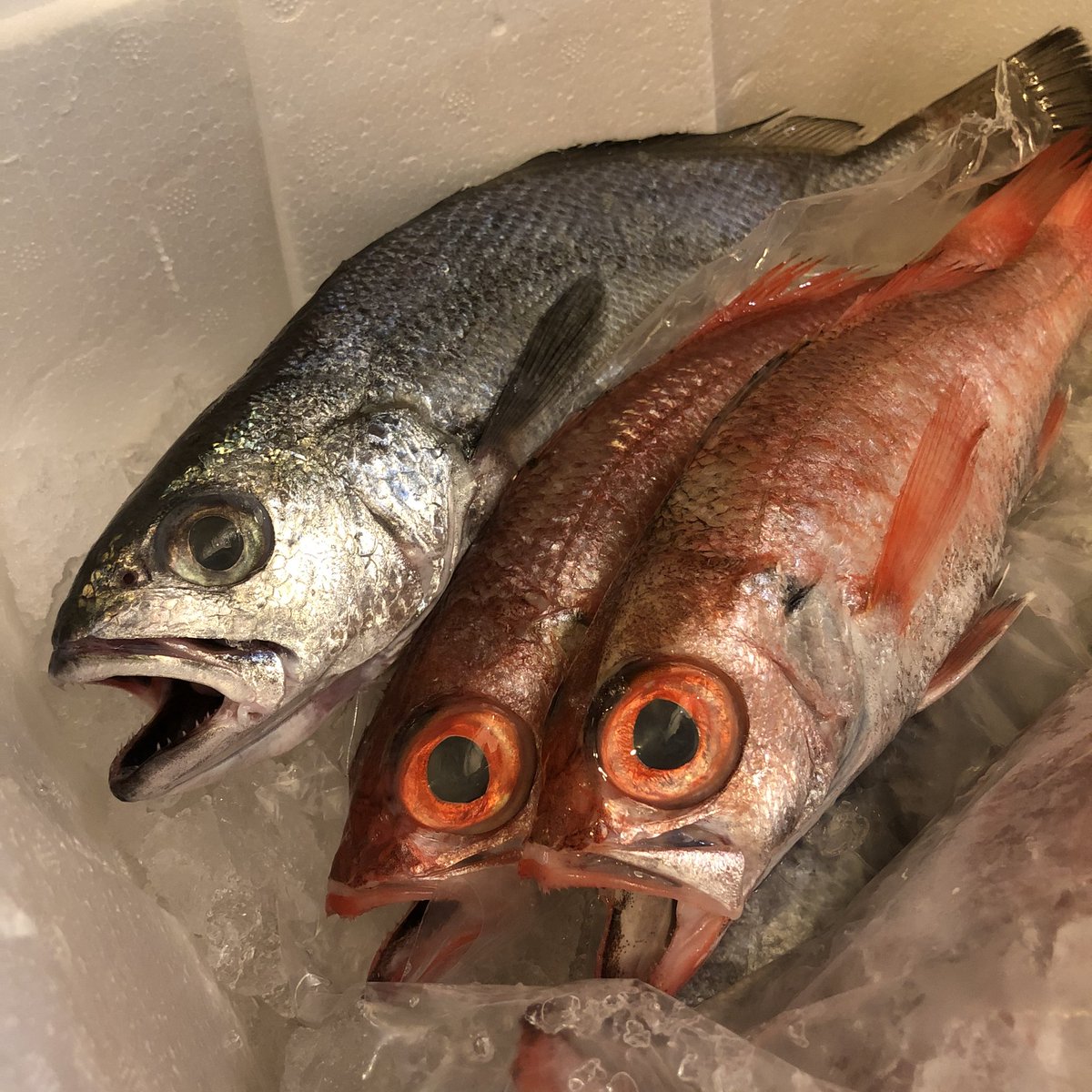 窩創作和食 台灣台北天母 Wo Hd Twitter