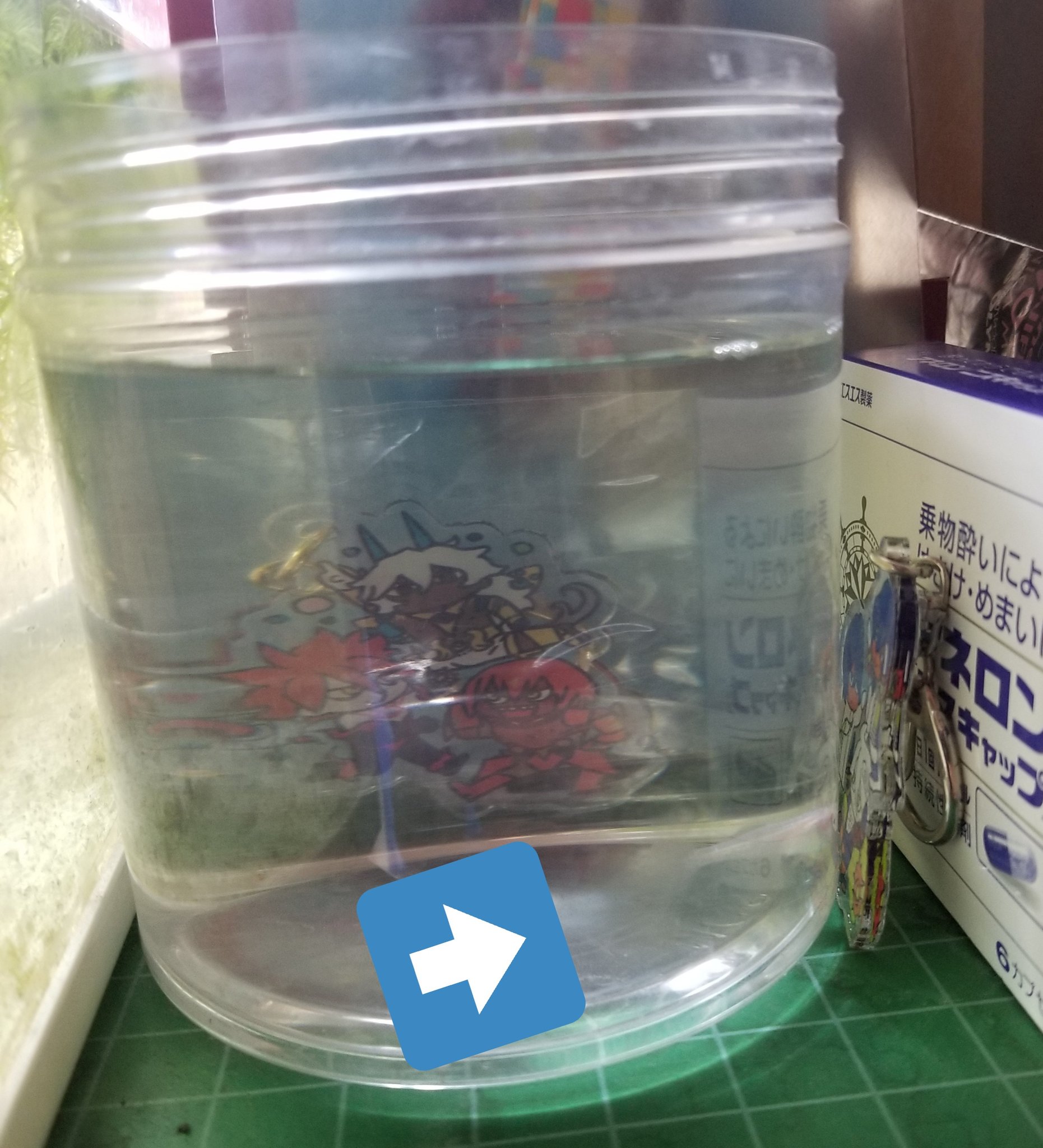 沈黙 弱って餌を食べなくなってしまったメダカを塩浴させるのにビーカーに移したら嫌がって暴れたので景色を作ってあげようと思ってnさんのアクキーで周りを飾ったらアルジュナ君に興味津々で落ち着きました 沈黙 弱って餌を食べなくなってしまったメダカを塩浴させるのにビーカーに移したら嫌がって暴れたので景色を作ってあげようと思ってnさんのアクキーで周りを飾ったらアルジュナ君に興味津々で落ち着きました