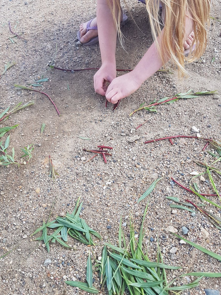 ReilkoffT's tweet photo. Do you see learning in these photos?

All of took was a walk for some more #ponddipping and a bit of imagination.  

Patterns.  Sorting.  Counting.  Tally marks.  Symmetry. Habitats and life cycles. Fresh air and sunshine.

#playandexploration
#studentled
#inquiry https://t.co/MTQMrrExZ6
