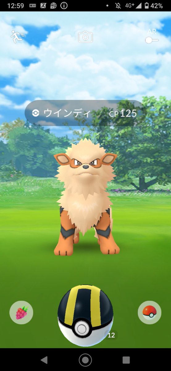 ポケモン研究部 部長レリクス 伝説ポケモンウインディ ダイサンダーやダイアーク等の技や燃え尽きるバークアウト 等の有用な技を覚えたりと アタッカーに向いたポケモンなのだがバークアウト等での味方のポケモンへのをサポートすることができる