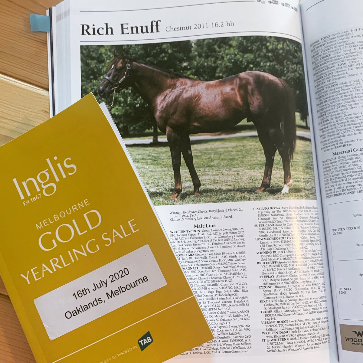 cityview_farm's tweet photo. We couldn’t be happier that @inglis_sales is going ahead as a live auction! We are offering a lovely Rich Enuff filly out of a winning Fastnet Rock mare. She is a great type and we can’t wait to parade her to potential buyers!!
#Lot211 #RichEnuff #SonOfAGun #InglisGold https://t.co/I2wURcOtL8