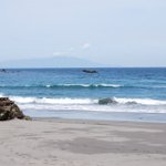 ツイートに含まれる画像