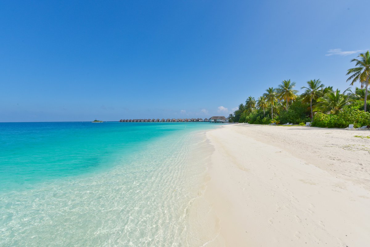 safariislandmv's tweet photo. I never thought that a vacation could be so nice! Generous living and terrace area. Everything very green and lovingly designed. The beach is a dream."π
Thank you UrsulaHo for the 5start review on https://t.co/zG1LIcXjFG
#Tripadvisoreviw #Safariisland #Angiriresorts https://t.co/ybmhfJdIcB