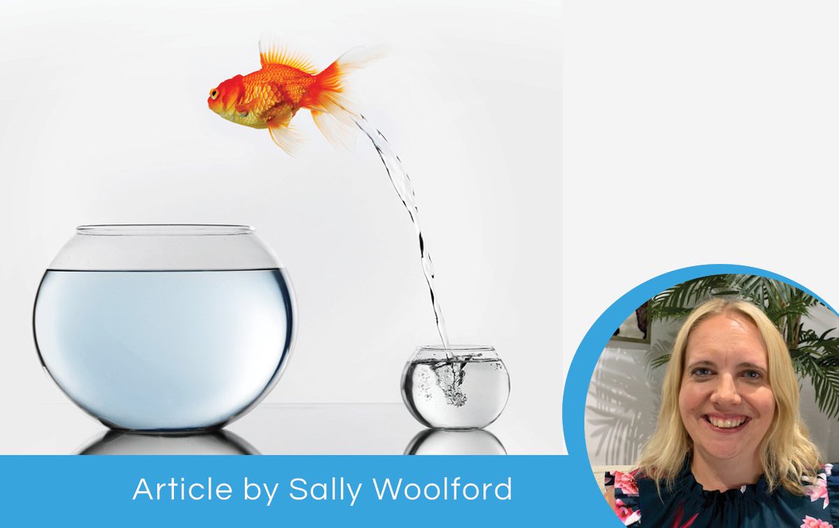 mwahlive's tweet photo. NEW ARTICLE: A Change is as Good as a Rest by Sally Woolford

Is change as a good as a rest? We all are having differing experiences of change right now.

Read the article now: https://t.co/cfk1ojQtGR

#change #rest #workingparent #flexiblework #remotework #changemodel #support https://t.co/D2AY5CDkOL