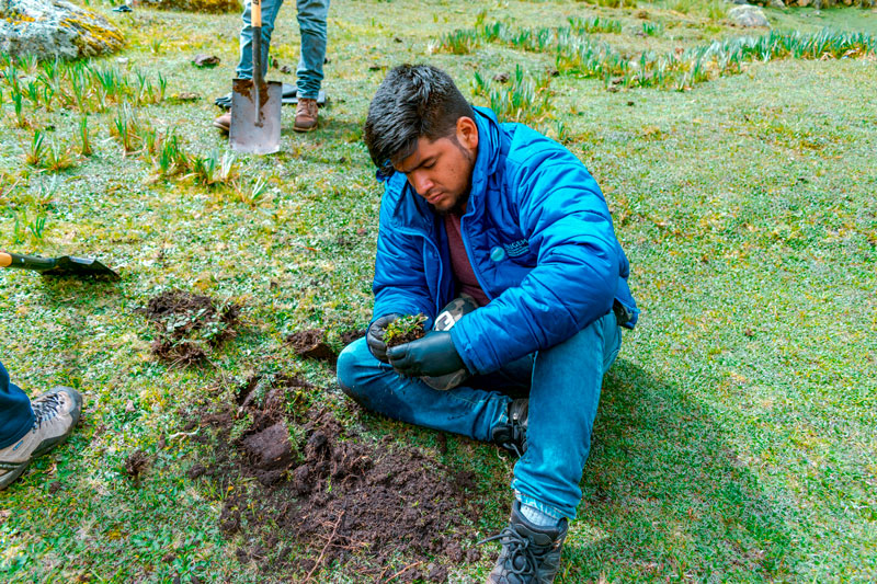 NuestroAMAZONAS's tweet photo. Áncash: identifican nuevas plantas que podrían remediar contaminación de suelos https://t.co/tO4TWpJqdJ #nuestroAMAZONAS #SPDA https://t.co/29Hd87VkQX