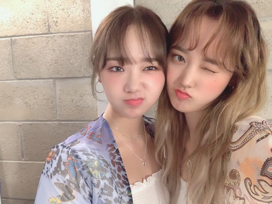 WekiMeki tweet picture