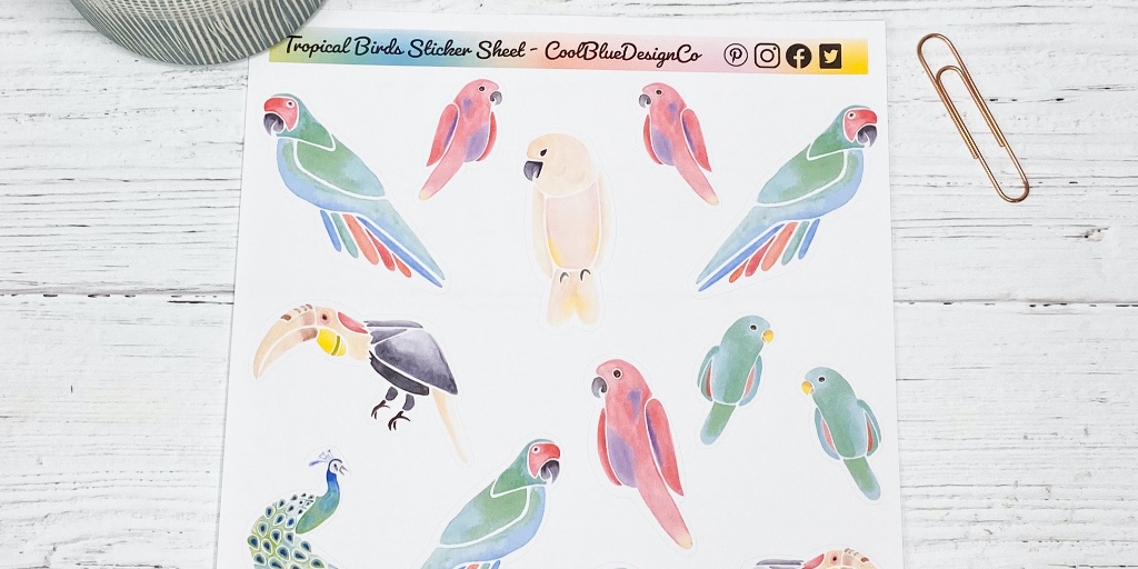 BarbaraClarke77's tweet photo. Retweet if you like my tropical bird stickers.
#etsyshop #standwithsmall #tropicalbirds #stickers #bujo #bulletjournal #watercolour #drawing #illustration #journalart #journalstickers #scrapbookstickers #exoticbirds #bulletjournalsticker #parrot #peacock #lovebirds #balibirdpark https://t.co/ohkheUEcsm