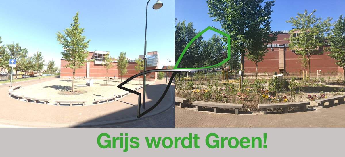 Er is nieuw groen in Gouda!🌱 Zie hieronder de 'voor' en 'na' van de stadstuin.⤵️ Heb jij ook een idee voor nieuw groen in de stad? Laat het ons weten en dien je idee in via gouda.nl/grijswordtgroen ✅
 #GemeenteGouda #grijswordtgroen