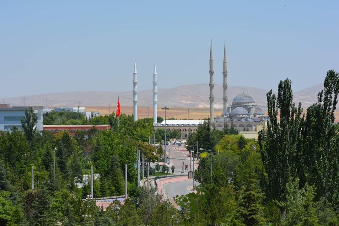 Yeniden mis gibi koronasız Selçuk Üniversitesi... Güneşli günler 🎗️💫