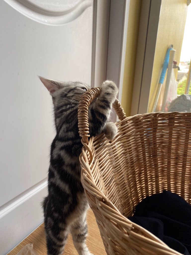 ตุ๋นจาช่วยคูมแม่ซักผ้า ก่อนอื่นต้องยกตะกร้าก่อน