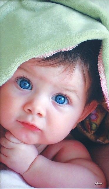 SillyMonksKids's tweet photo. Lovely cute💕😍 Baby

#cutebaby #baby https://t.co/ckMVir3wom