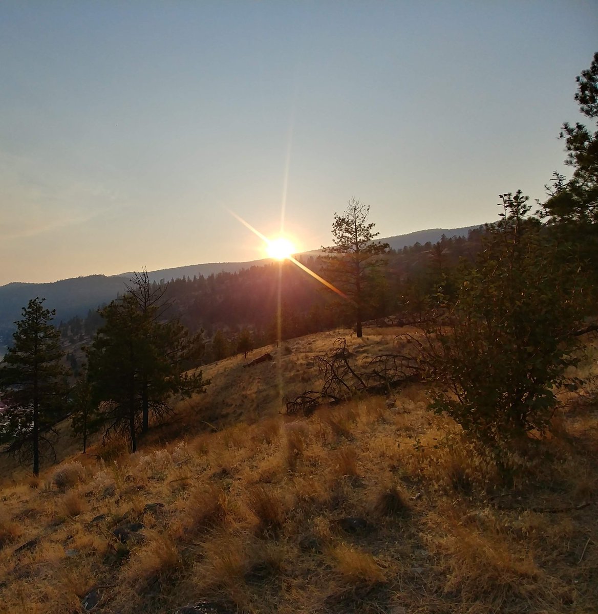 LinzHerb20's tweet photo. Can't wait to start hiking again! #explorekelownalocal #bcsunset @KelownaCapNews @Tourism_Kelowna @kelownabuzz
๐๐ทโจ https://t.co/29yLZl4bQn