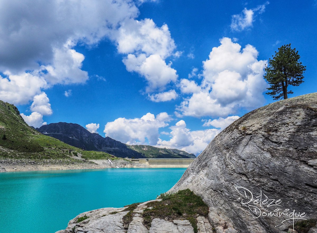 DelezeD's tweet photo. Magnifique lac de Cleuson 💖
#nendaz #dreamnendaz #barragedecleuson #lake #lakephotography #lakelovers #lacdemontagne #lakemountain #eauturquoise #tree #rocks #magnifiquepaysage #beautifullandscape #landscapelovers #mountains #mountainlovers #swissalps #valais #myswitzerland https://t.co/77LANWEDVK