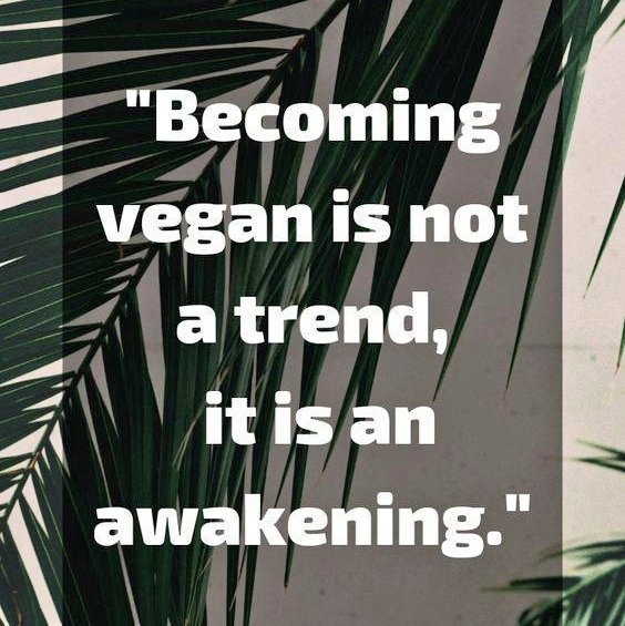 Wake up!! 

#wakeup #woke #vegan #Truth
#SHARAN #sharanindia #buildingacultureofhealth #veganindubai 
@sharan_india