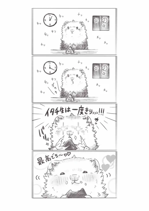 深夜のおにぎり🐹

🐹🍙明日もたくさん遊ぶから大丈夫でち‼️ 