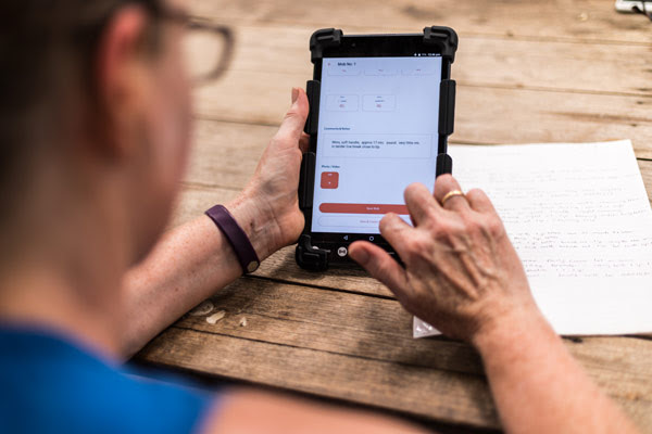 Australian Wool Innovation has mislead senators by claiming its WoolQ platform has addressed market failure in the wool selling system and is an alternative to the auction trade’s Talman system, industry figures believe 👉 loom.ly/jD7RvdM #SheepCentral