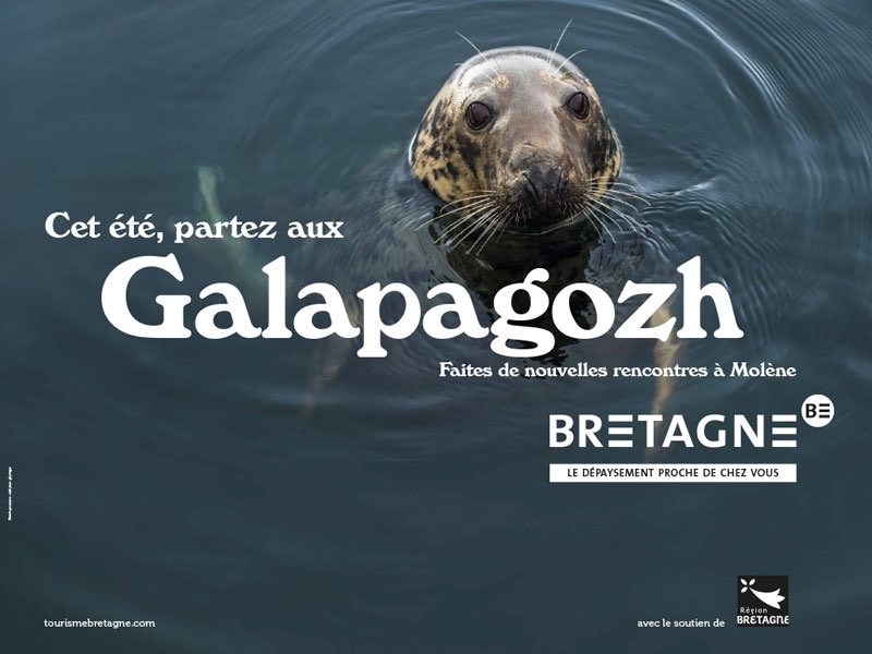 RonanLoas's tweet photo. Belle campagne pour la Bretagne ! Bevet breizh https://t.co/gKeRY4nhhx