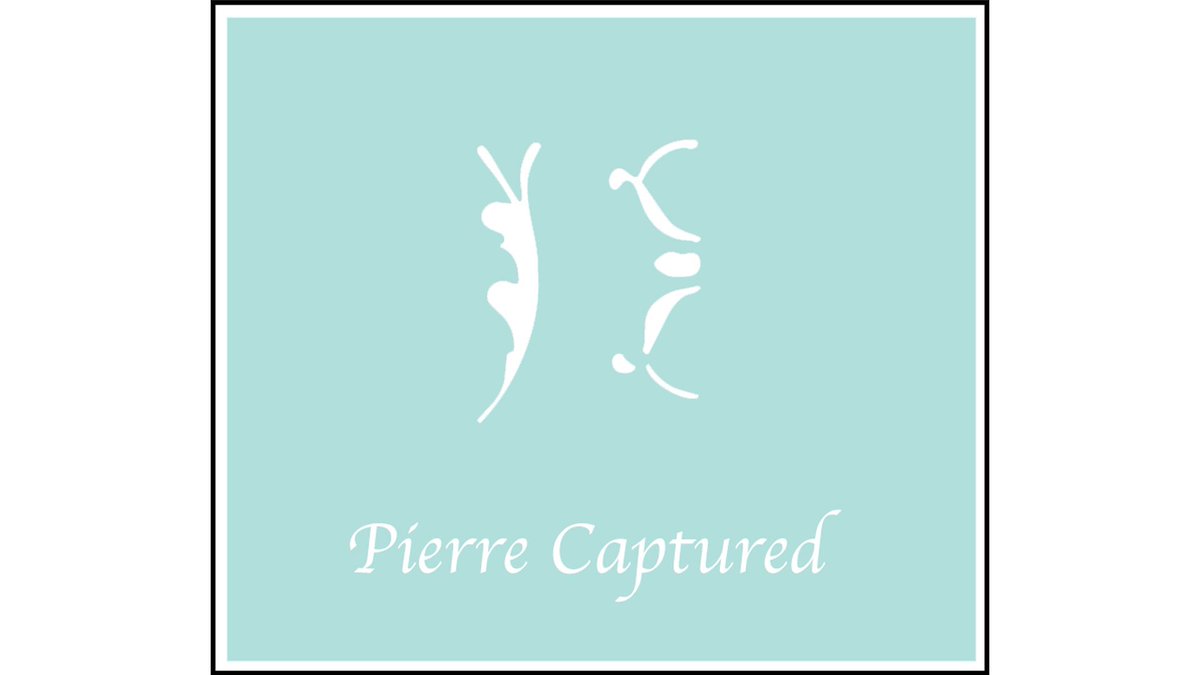 pierrecaptured's tweet photo. Bringing photos and memories to life, @pierrecaptured offers the best Affordable, Convenient and Lively photos to his customers. @pierrecaptured offers different packages at affordable prices and add ons which customers are allowed to purchase ranging from DVDs to Photo Prints. https://t.co/dc5lgDZYKg