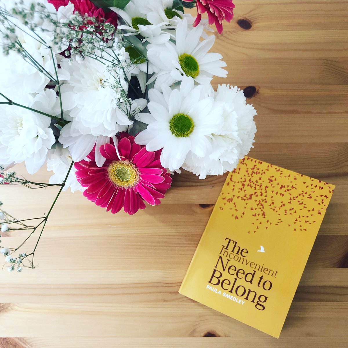 rachaelsreads_'s tweet image. It’s my stop on the #RandomThings tour for #TheInconvenientNeedToBelong by @_paulasmedley 
Thank you Paula for writing such a poignant and life affirming book - I fell in love with Alfie Cooper 💗 
@SilverWoodBooks 
@annecater 

instagram.com/p/CBUxq9KgIAk/