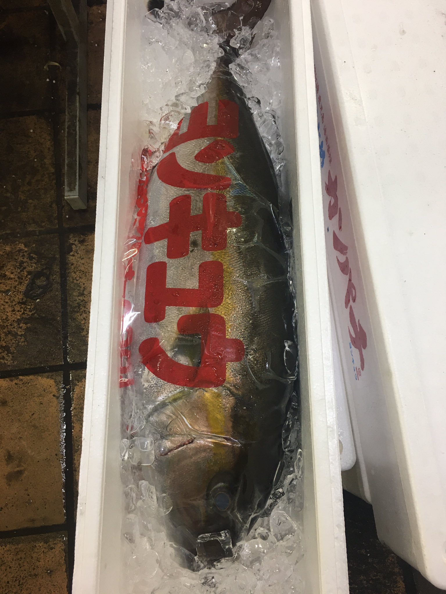 カマ塩焼き Twitter Search Twitter