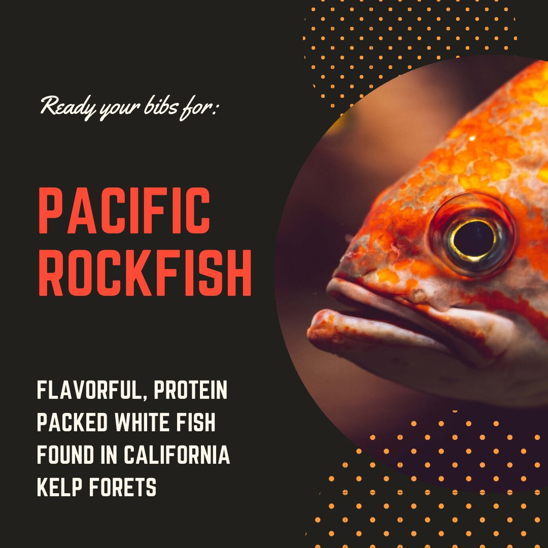 kelpitlocal's tweet photo. #WorldOceansDay #HookToCook https://t.co/9jXdbGuIDX