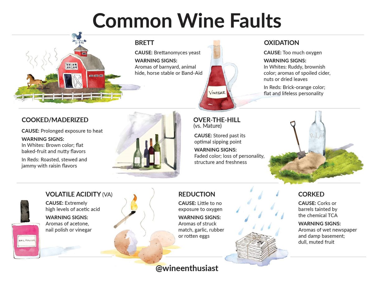 wineworldnews's tweet image. 7 signs your wine might be corked.. #wine #winelover #winefaults #KNOWLEDGE @TweetaDean @A_Wine_O @always5star @AdamRosenberg16 @MiniWineGirl @nineov @talkavino @wineaostories @OllieOZwineUK @Constan70997526 @DivaVinophile @KellyMitchell @Oberreimer @Julianna_glass