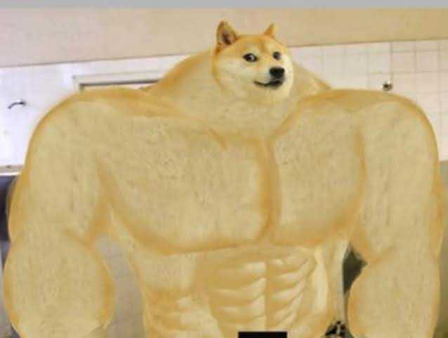 인터넷카지노소개