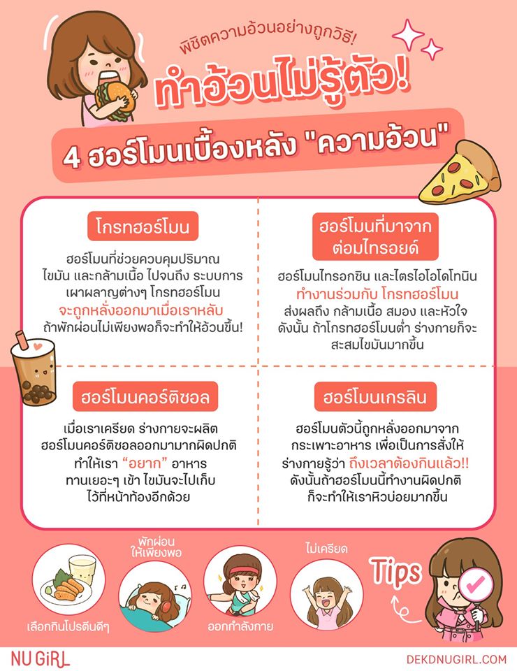 webdekd's tweet photo. 4 ฮอร์โมนเบื้องหลัง "ความอ้วน" ที่แท้ทรู อ่านเพิ่มเติม >> https://t.co/yOo41LhJX1 https://t.co/lGakdcdxVB