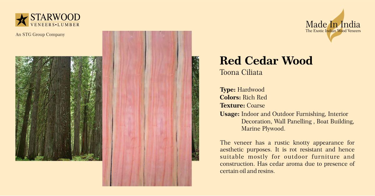 Starwood Veneers Pvt. Ltd. (@StarwoodVeneers) / Posts / X