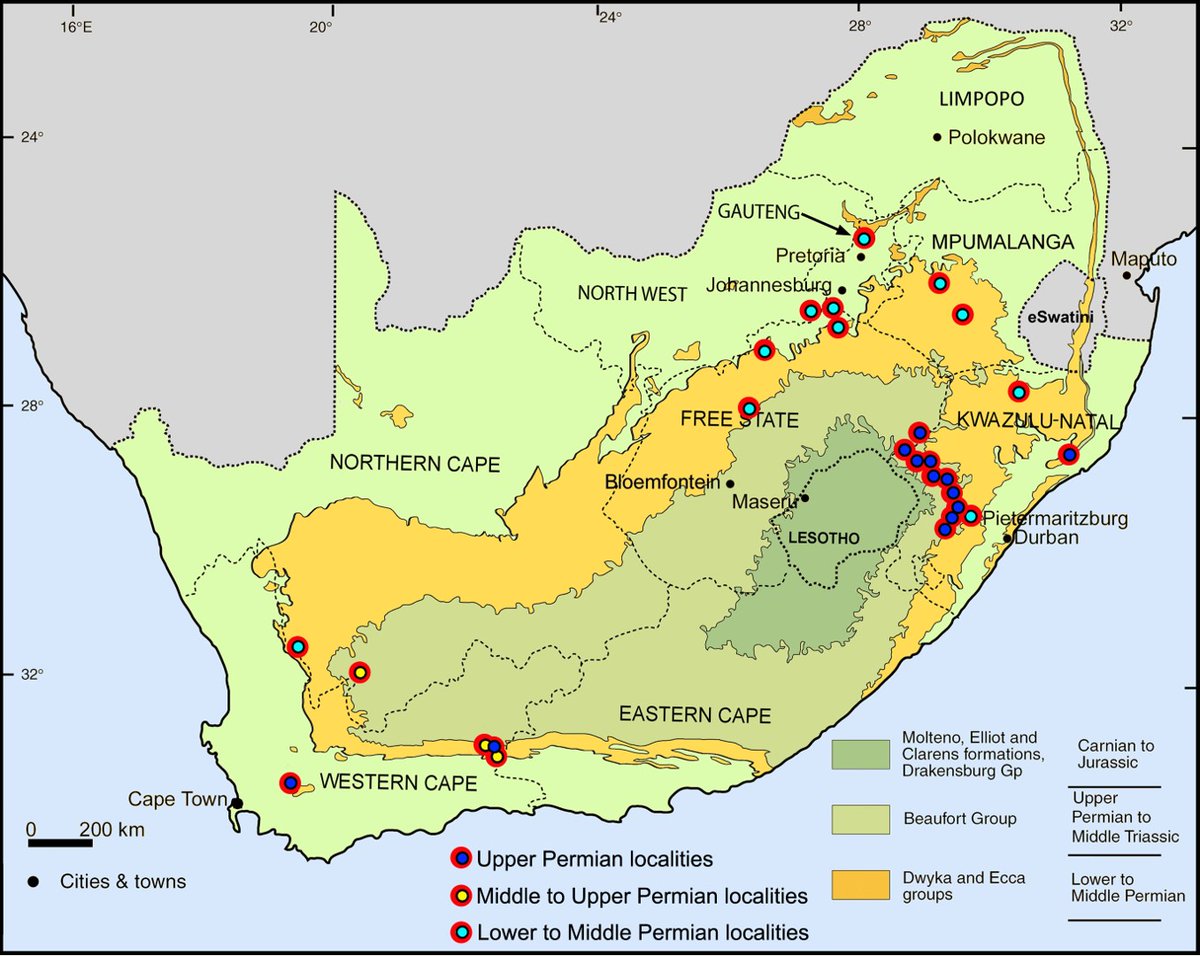 14/n: In RSA Glossopteris floras are well represented in the northern and eastern parts of the Karoo BasinTwo localities were chosen (southern and eastern part of the basin) A new site on the Ouberg Pass (Northern Cape Province) and Kwa-Yaya (KwaZulu-Natal Province).
