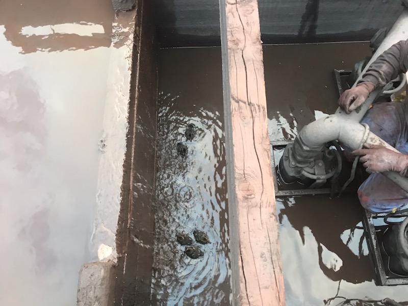 TataSteelUK's tweet photo. A #steelheroes job is never done and the team at the harbour in #porttalbot came to the rescue of a mother duck and her 9 ducklings last week who had managed to get themselves stuck in a wheel washing 'sump' - well done guys! https://t.co/MxMNsJmBVn