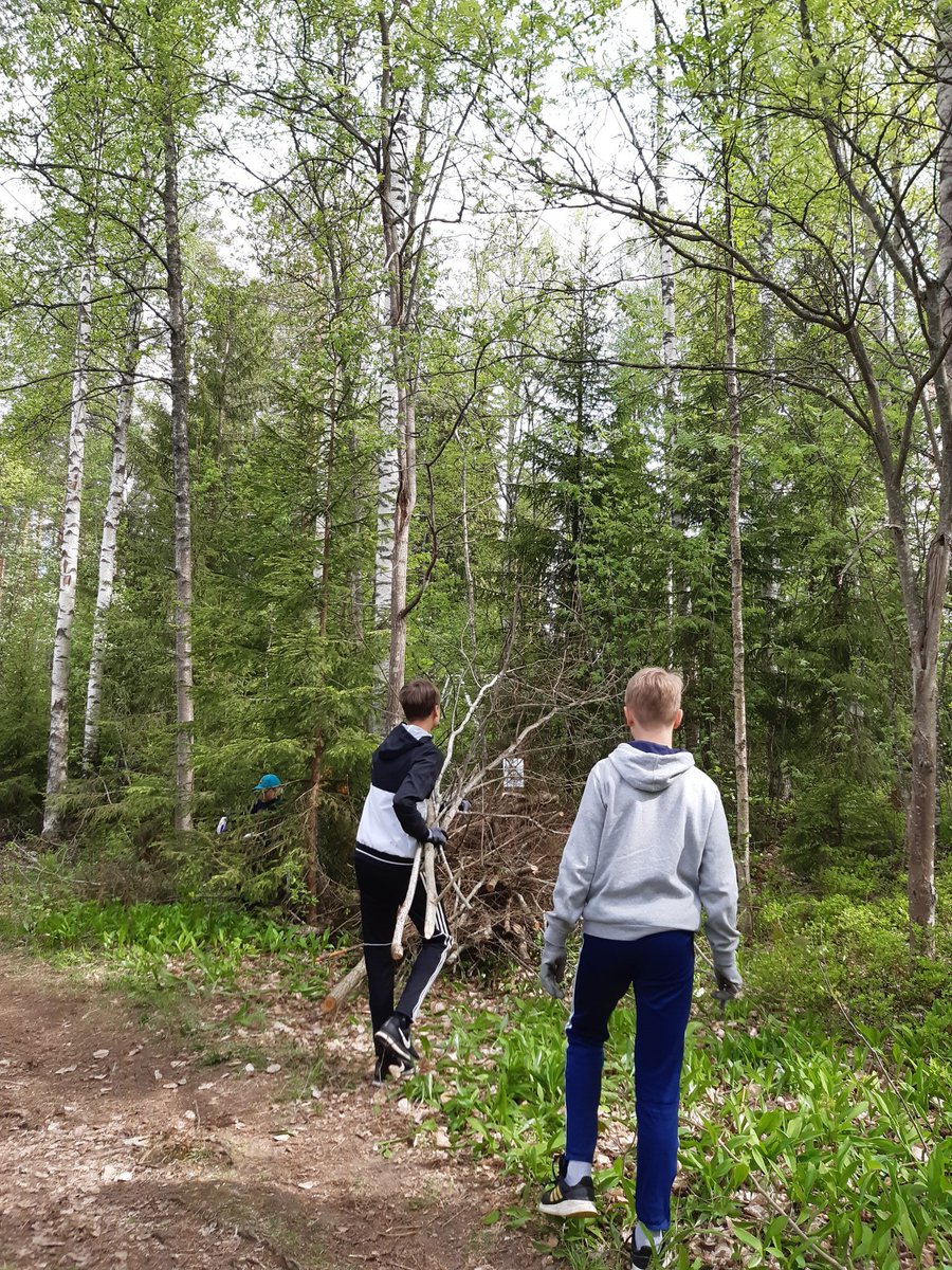 Kesäloman kynnyksellä jaan yhden mieliinpainuneista hetkistä: Urheilupuiston koululaiset tekivät koulunsa lähimetsässä luonnonhoitotöitä: vieraslajin karsintaa sekä lahopuuaitojen kasaamista 💚  #vieraslajit #biodiversiteetti #monimuotoisuus #luonnonsuojelu #kouvola #perusopetus