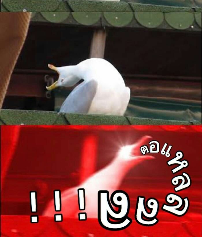 31 tweet media