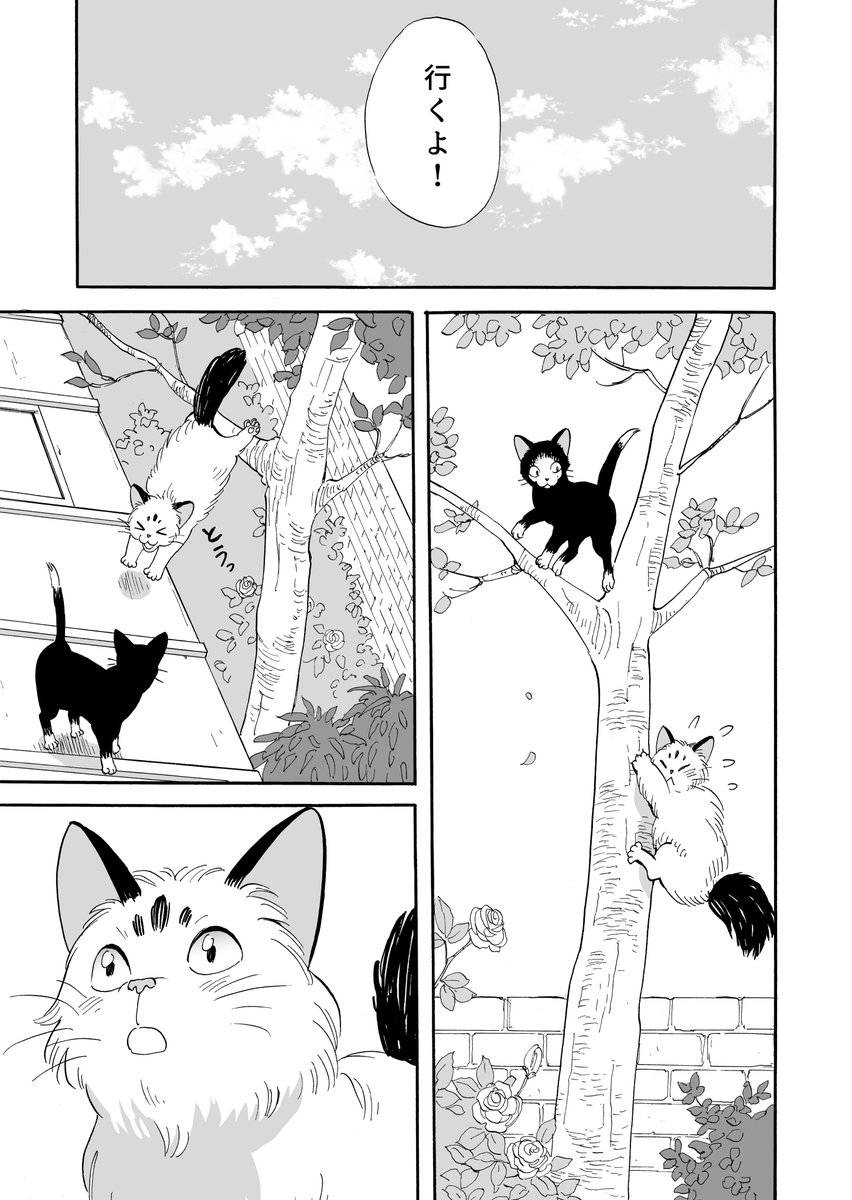 【マイロとクロンヌ】野良猫と飼い猫のマンガ【2話】(1/4) 