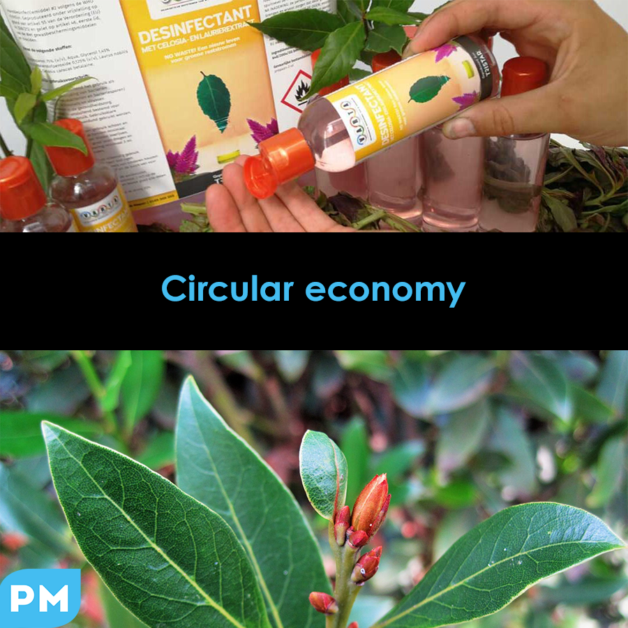 We love these initiatives! One of our suppliers started a cooperation to create disinfectants out of their pruning waste! This COVID-19 times make us more and more creative! #circulareconomy #sustainability #plantmarket #covid19 #goodinitiatives
