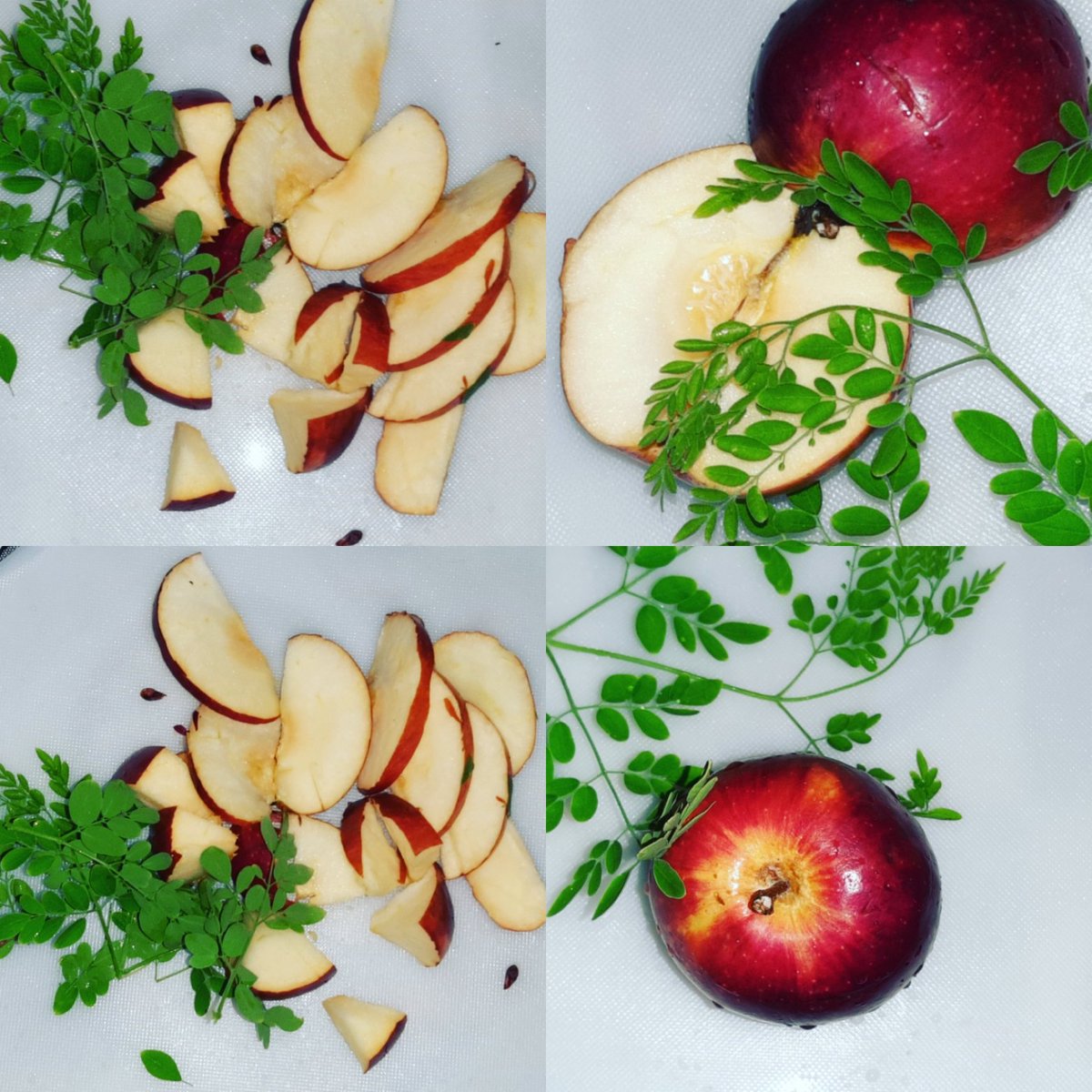 AbdinasirAbdiH's tweet image. #Moringa has many important vitamins and minerals. The leaves have 7 times more vitamin C than oranges &amp;amp; 15 times more potassium than bananas. It also has calcium, protein, iron, &amp;amp; amino acids, which help your body heal and build muscle. #Boostyourhealth #MoringaOleifera 
#Friday