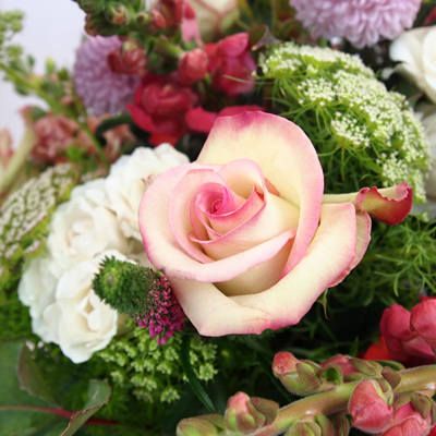 Roses_SJ's tweet photo. Estem encantats d'anunciar la nostra nova secció de Flors a Domicili! 💐💐💐
La nostra qualitat habitual, ara perquè puguis enviar els millors rams i a el millor preu.
Entra al nostre servei d'enviament de flors ara.https://t.co/oqVZ1LmBZE #Artfloral #FlorsOnline #regall https://t.co/gm3xPk2gcU