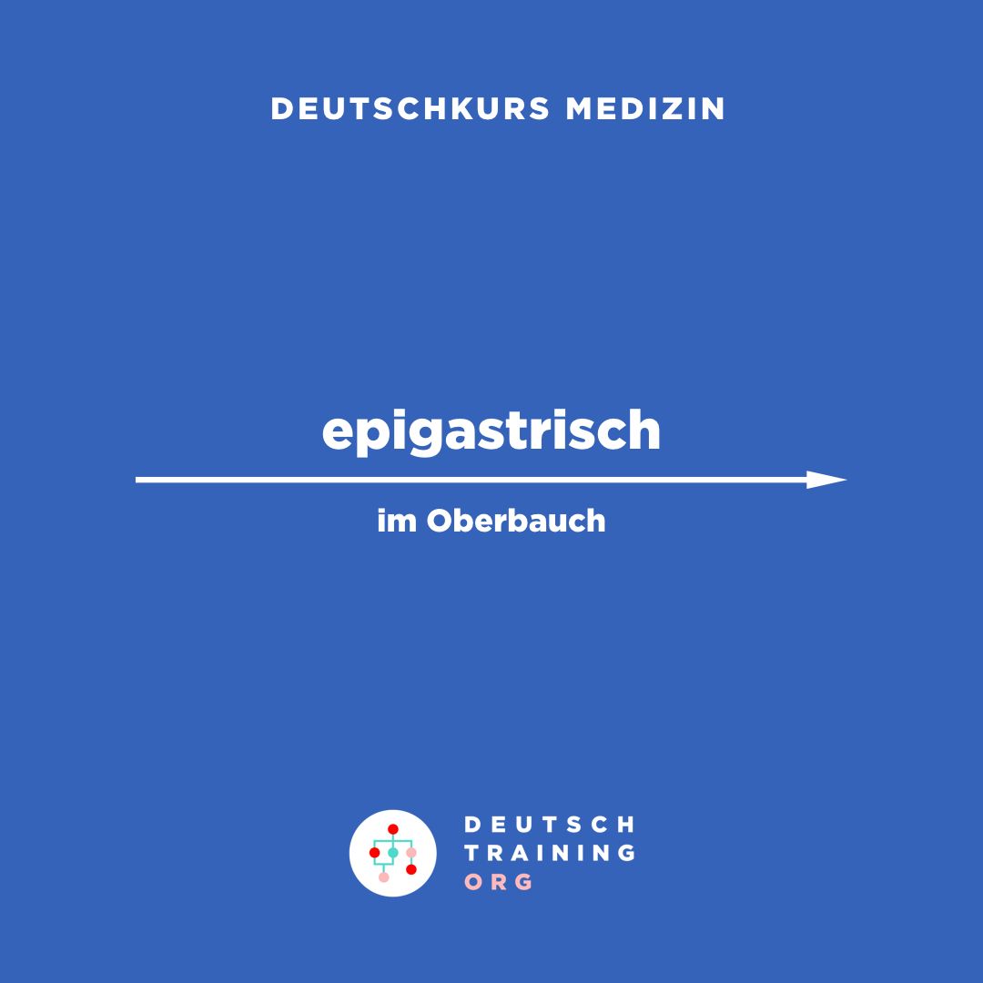 medizindeutsch's tweet photo. ✏️ Wie sagt man EPIGASTRISCH auf Englisch?

🇩🇪 epigastrisch = im Oberbauch

📚 Beispiele
Die Patientin klagt über starke epigastrische Schmerzen.
= Die Patientin klagt über starke Schmerzen im Oberbauch.

#deutschtraining #fsp https://t.co/xUpZeqAsj1