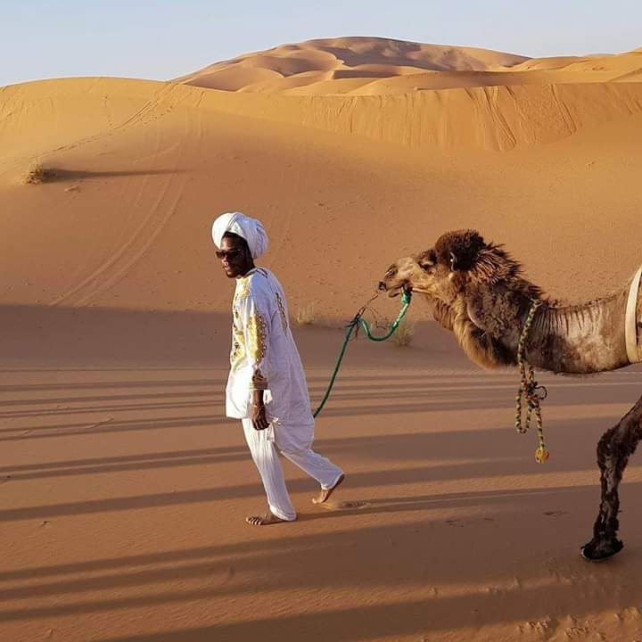 TripsAmazon's tweet image. #NouvellePhotoDeProfil