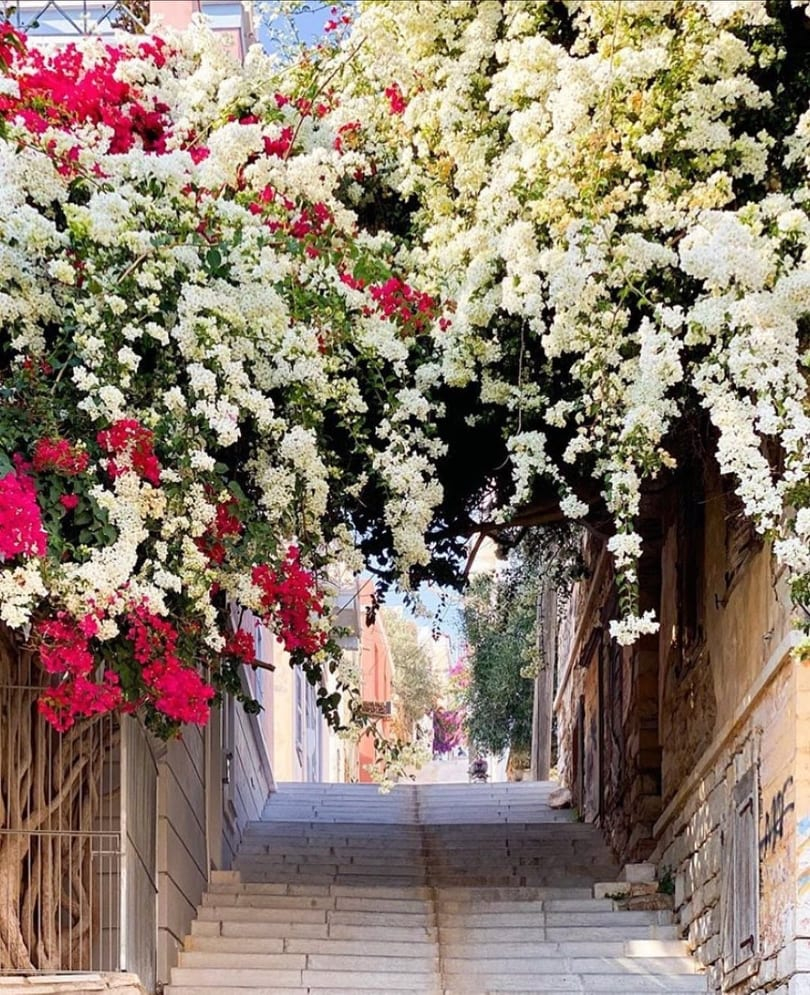 Syrosislandgr's tweet photo. #Syros invites you in a journey of exploration step by step.
#Syrosawaits #Syros_CovidReady #booksoon #staybrave #wearetogether #MoreThanAnIsland #PlaceToFallinLove #dreamsyros #syros4seasons #SyrosIsland #WeAreSyros #VisitSyros #Cyclades #Greece
📸 @atisirana https://t.co/R1X2icy4kB